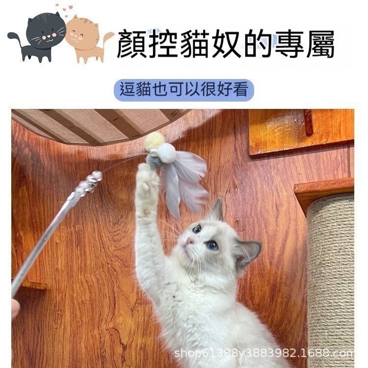 逗貓棒 貓玩具 寵物玩具 貓咪玩具 伸縮逗貓棒 逗貓棒羽毛 逗貓棒替換 伸縮棒 逗貓 逗貓棒替換頭 幼貓玩具-細節圖9