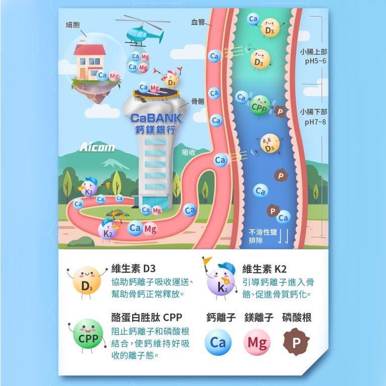 [總經銷🔥現貨免等] Aicom艾力康鈣鎂鋅加強錠（90顆/盒）-細節圖4