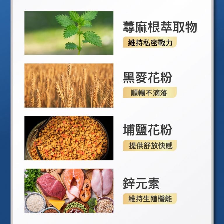 [總經銷🔥現貨免等] Aicom艾力康 攝護力(60粒/盒)-細節圖3