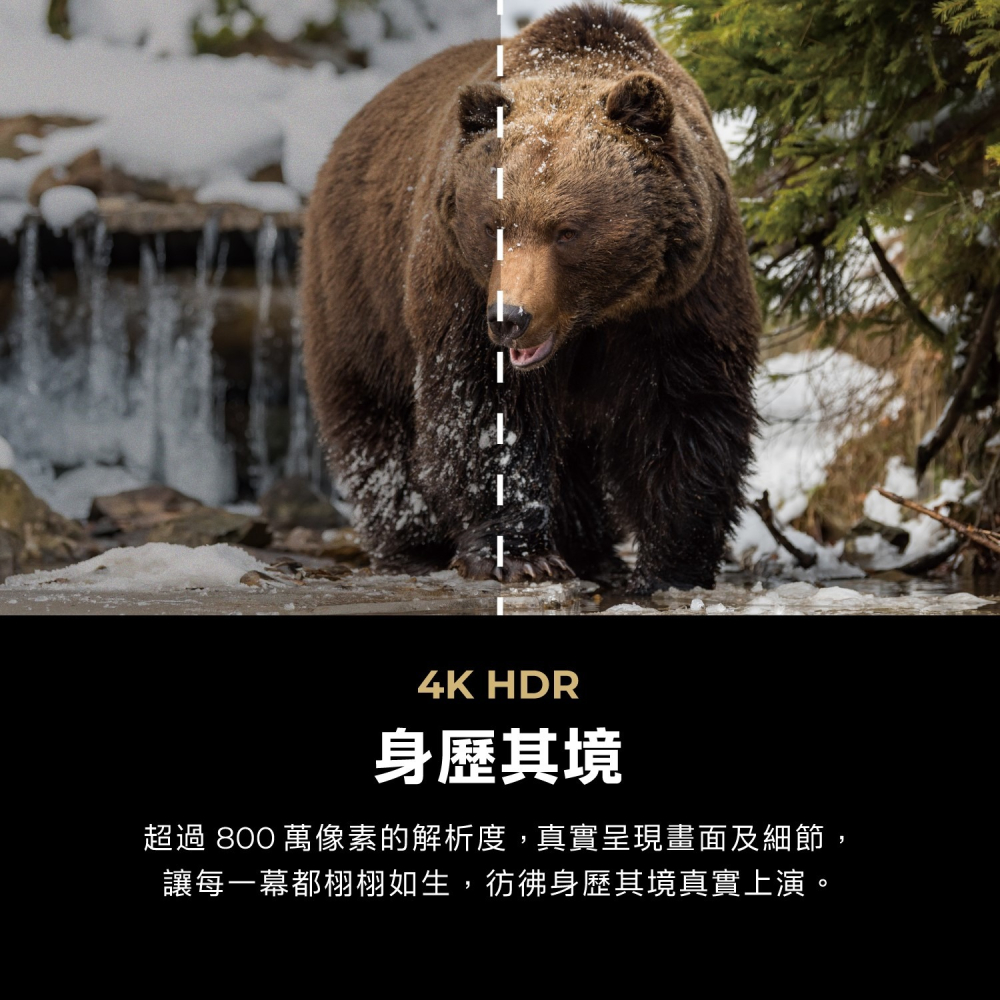 【AIWA】愛華 65吋 4K QLED AI-65QL24 智慧型顯示器-細節圖6