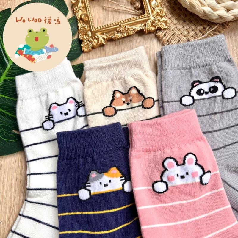 <部分現貨>wowoo襪嗚▸橫條紋動物偷看中筒襪 韓國襪子-細節圖2