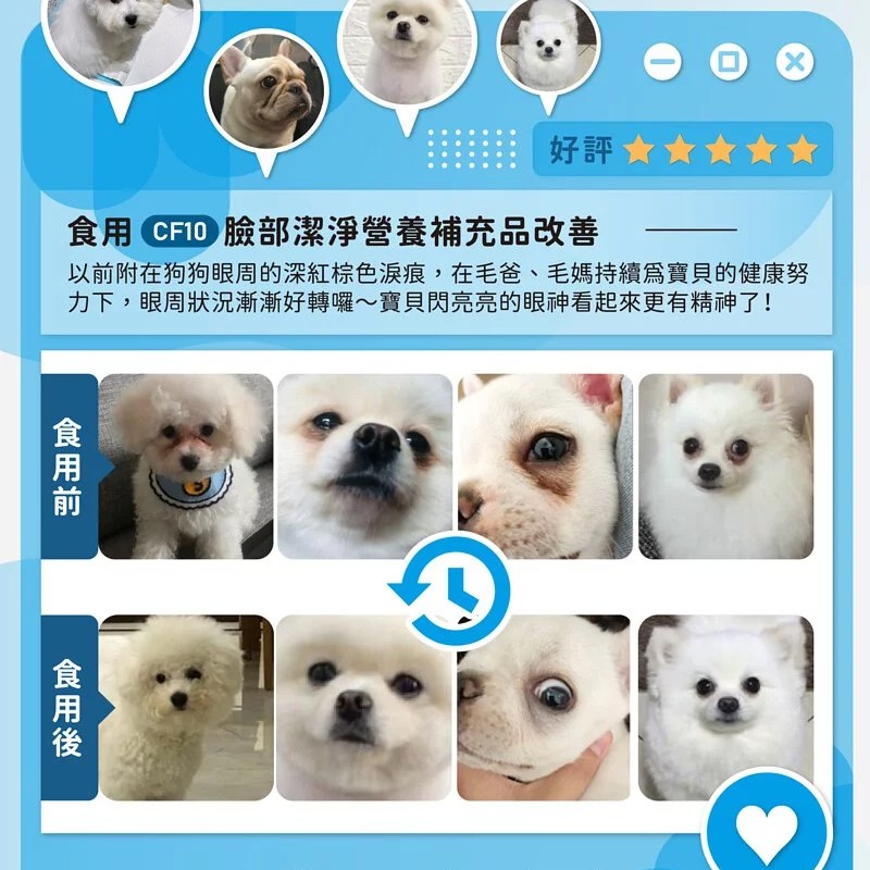 【瑪莉洋】犬用-臉部潔淨營養補充品（85g／毛小孩／狗）-細節圖6