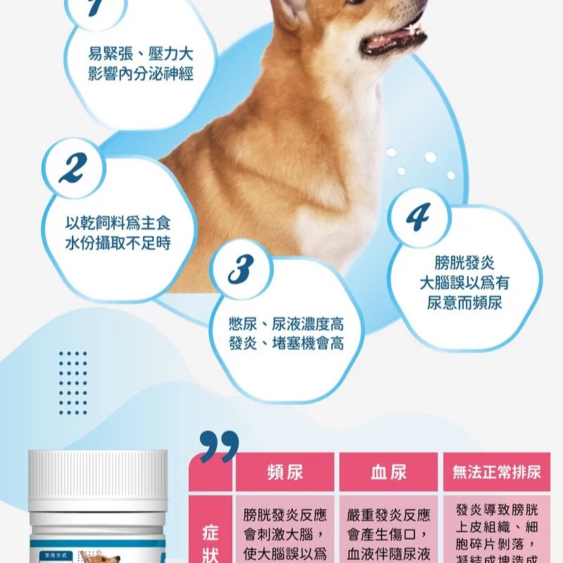 【瑪莉洋】犬用-泌尿道疾患營養補充品（85g／毛小孩／狗）-細節圖3