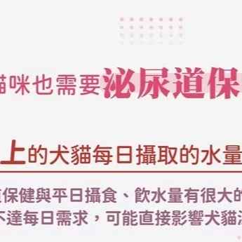 【瑪莉洋】貓用-泌尿道疾患營養補充品85g（營養補充品／毛小孩／貓用）-細節圖4