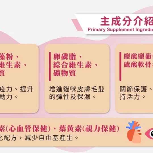 【瑪莉洋】貓用-高齡貓專用綜合營養品95g（營養補充品／毛小孩／貓用）-細節圖6