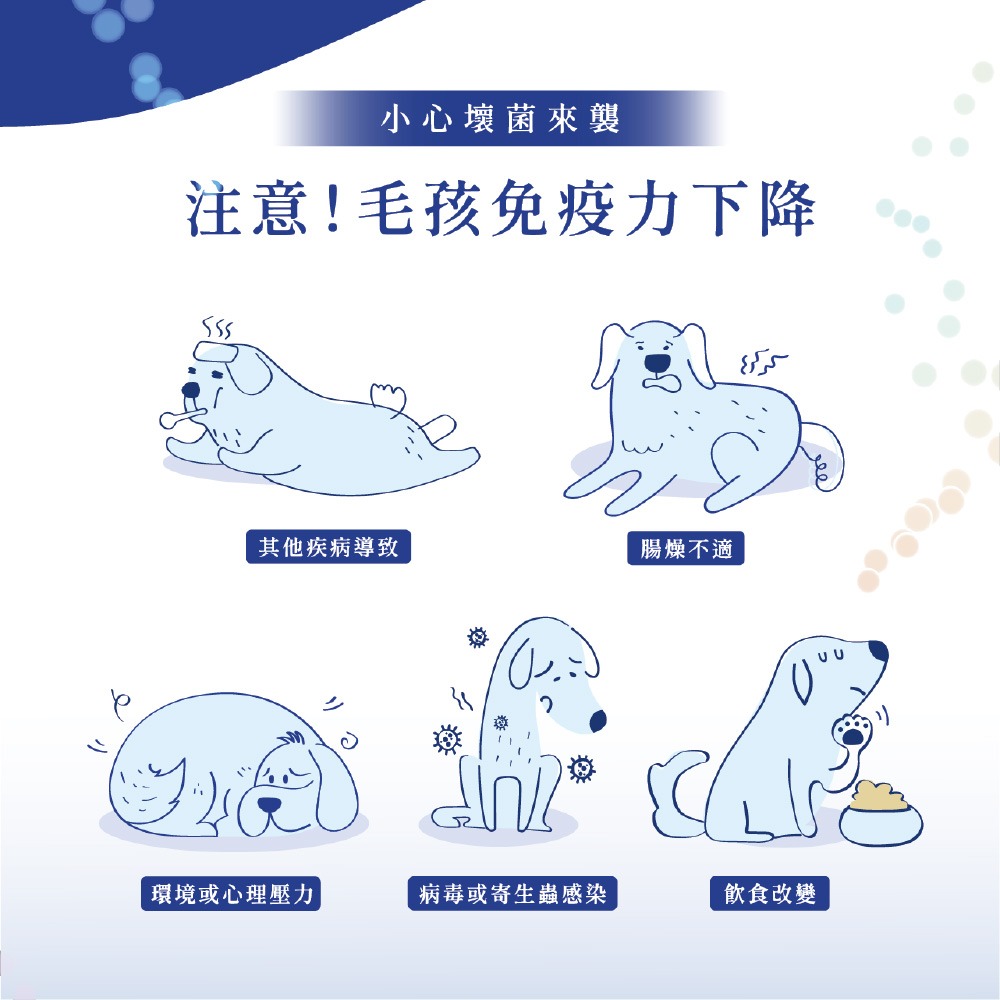 【瑪莉洋】寵物酵素益生菌(犬用) 30包/盒(2盒組)-細節圖3