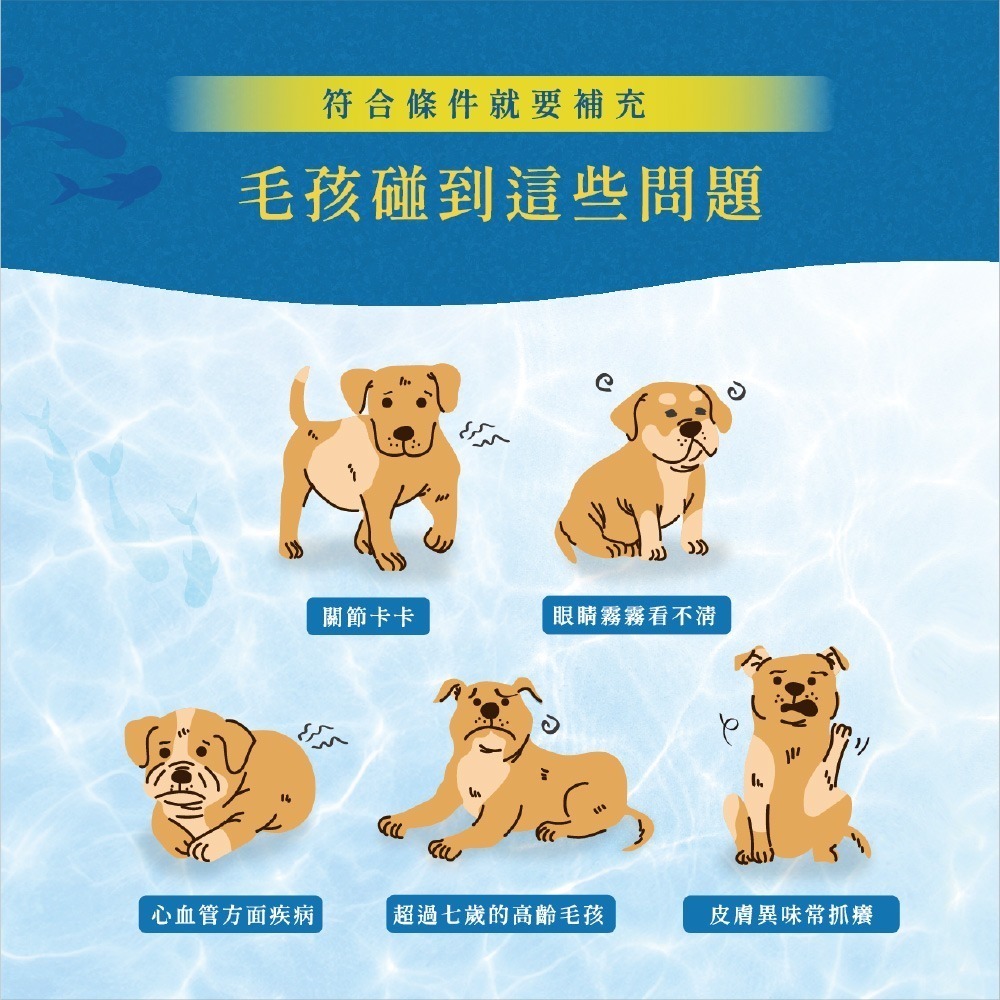 【瑪莉洋】強化型魚油粉(五大胺基酸添加)30包/盒(2盒組)-細節圖5