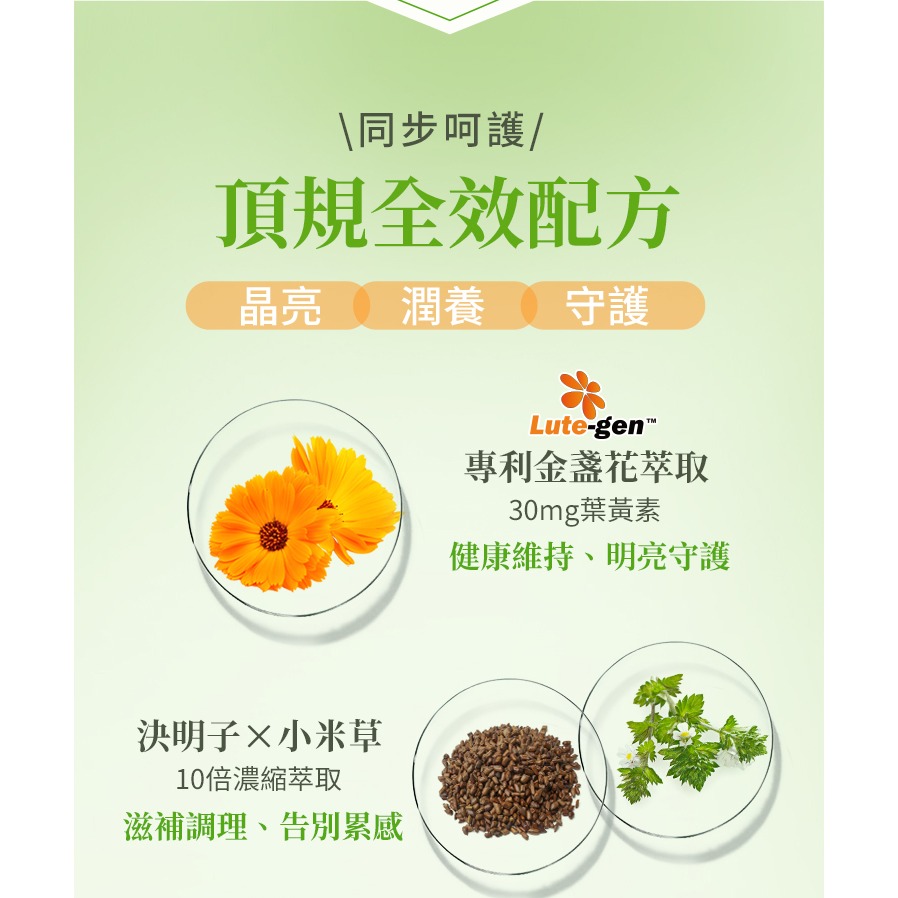 【BHK＇s】專利晶澈葉 黃素EX(素食膠囊)60粒-細節圖3