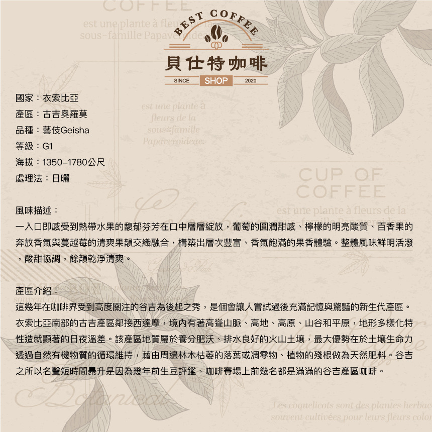 《貝仕特咖啡》衣索匹亞 谷吉 蔻薩村 格蕾娜 藝伎 G1 日曬 咖啡豆《中淺烘焙》《半磅》-細節圖2