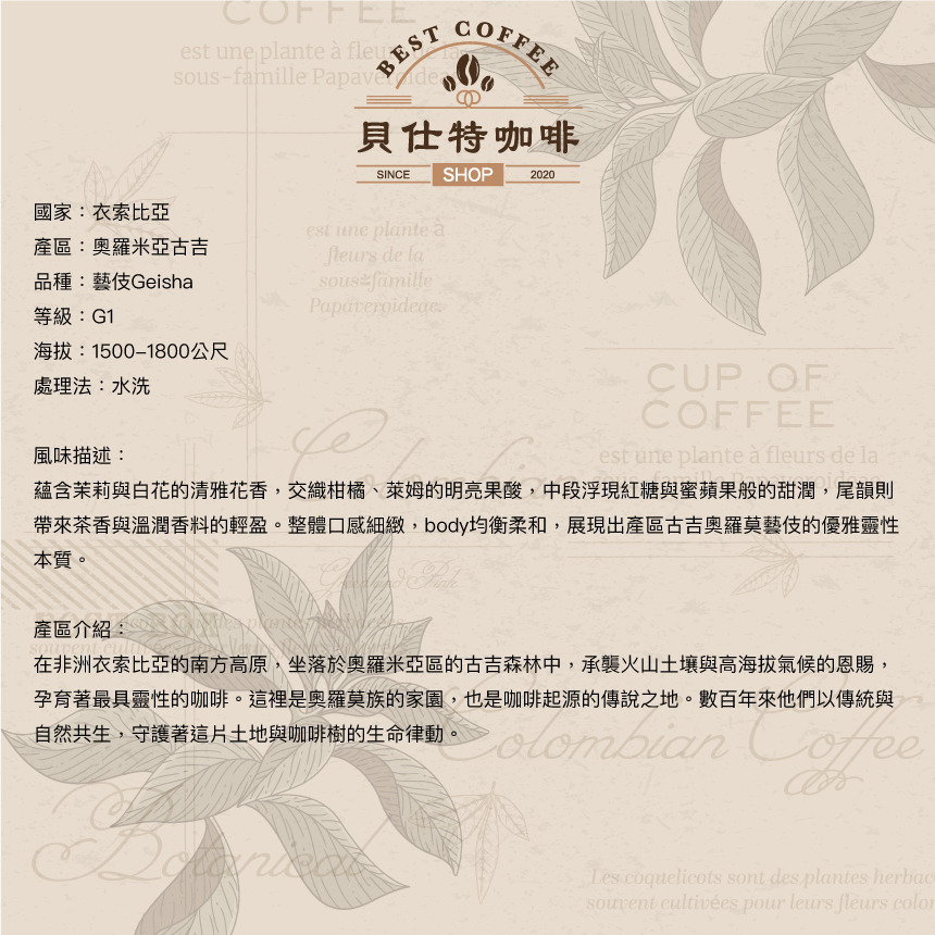 《貝仕特咖啡》衣索匹亞 古吉奧羅莫 聖林藝伎 水洗 咖啡豆《中淺烘焙》《半磅》-細節圖2