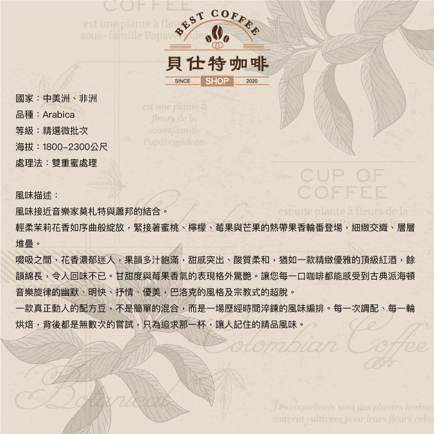 《貝仕特咖啡》哥斯大黎加 音樂家 海頓 葡萄乾蜜處理 咖啡豆《中淺烘焙》《半磅》-細節圖2