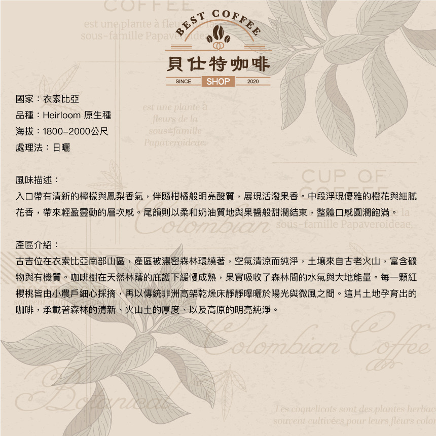 《貝仕特咖啡》衣索比亞 谷吉王者 日曬 咖啡豆《中淺烘焙》《半磅》-細節圖2