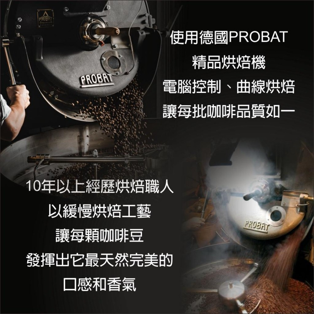 《貝仕特咖啡》黃金藝伎風味 水洗+日曬 精選配方 咖啡豆《中淺烘焙》《半磅》-細節圖5