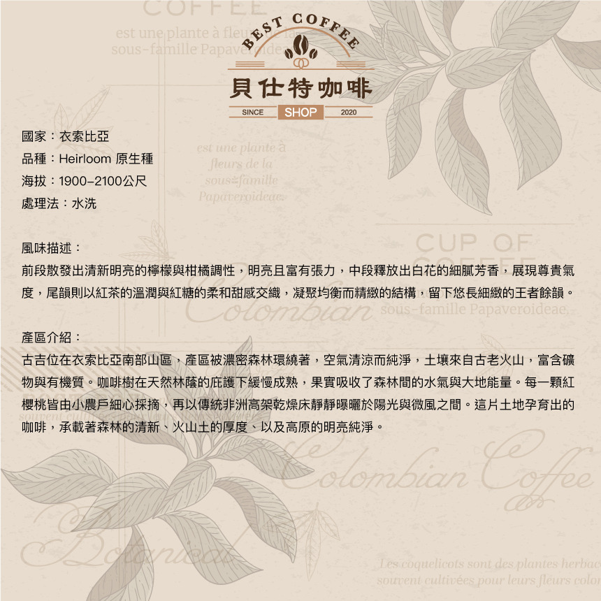 《貝仕特咖啡》衣索比亞 猶大獅王 水洗 咖啡豆《中淺烘焙》《半磅》-細節圖2