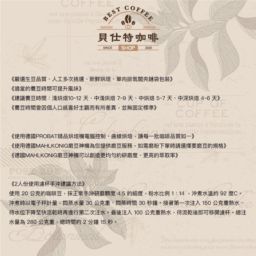 《貝仕特咖啡》衣索比亞 猶大獅王 水洗 咖啡豆《中淺烘焙》《半磅》-細節圖3