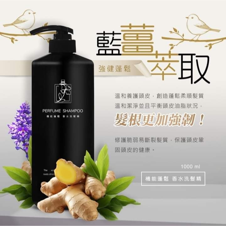 藍薑萃取機能鬆香水洗髮精 1000ml-細節圖3
