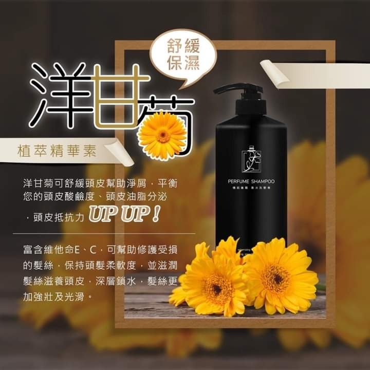 藍薑萃取機能鬆香水洗髮精 1000ml-細節圖4