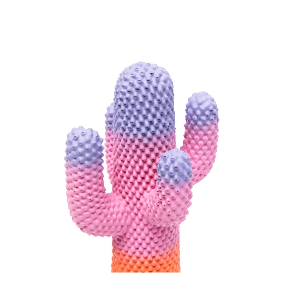 GUFRAM x Paul Smith The  Sunrise Cactus模型-細節圖2
