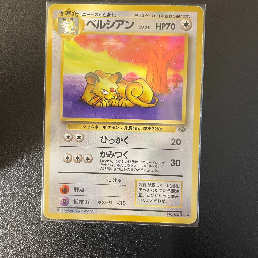 1997 初代 日版 貓老大 叢林系列 絕版老卡 老卡背 oldback-細節圖2