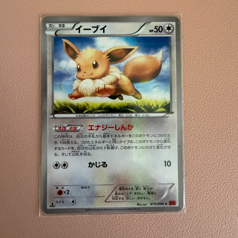 2014 XY時代 日版 伊布 075/096 C 1ED XY3 躍起鬥士 sui 絕版-細節圖2