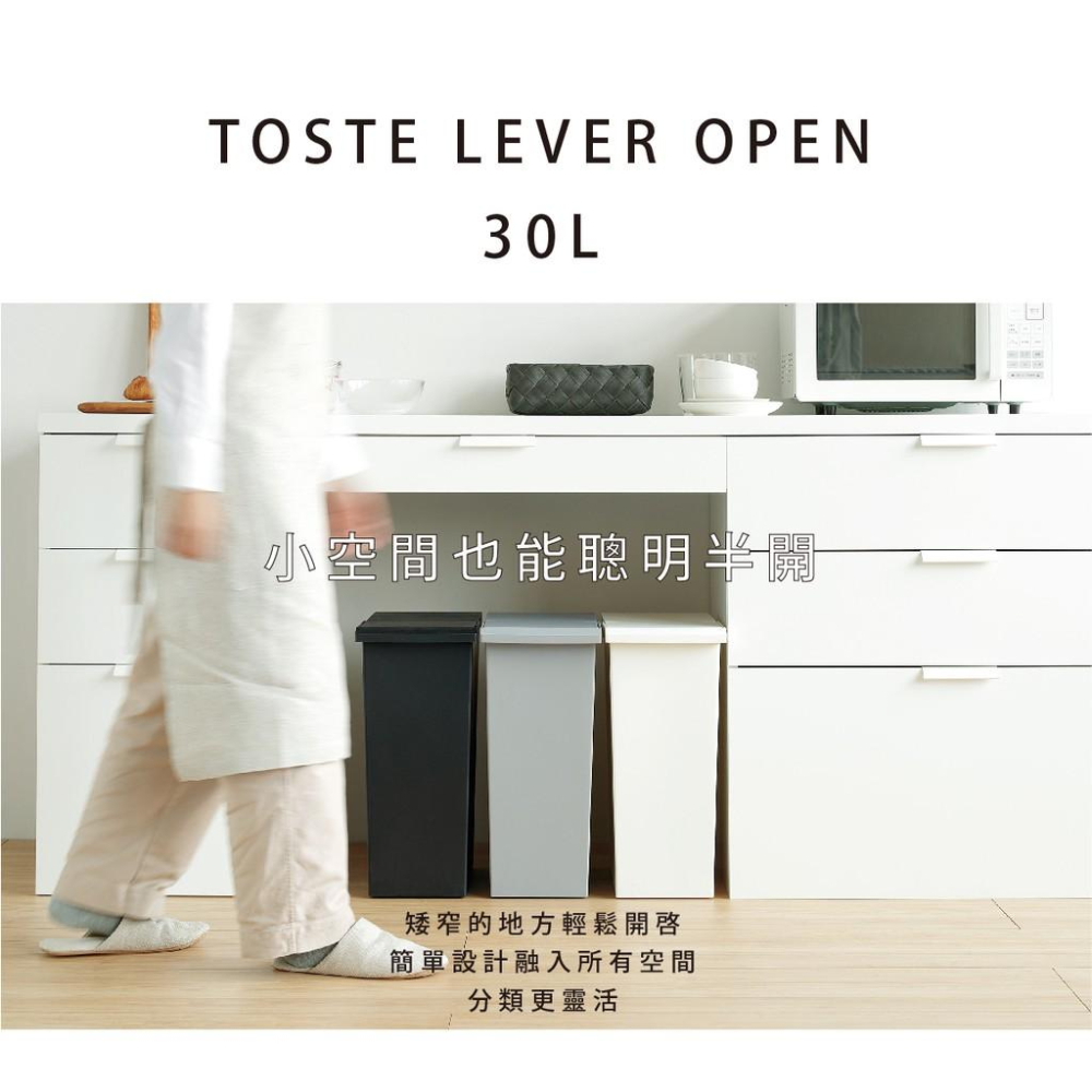 日本RISU｜TOSTE 簡約設計風格按壓雙開型分類垃圾桶 30L-細節圖2