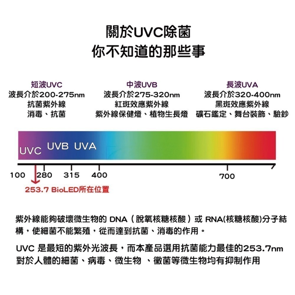 Z1紫外線消毒燈💡功能升級版｜歐規UVC253.7nm🌟智能偵測👁️99%抑菌✔️安全停機🚫-細節圖6