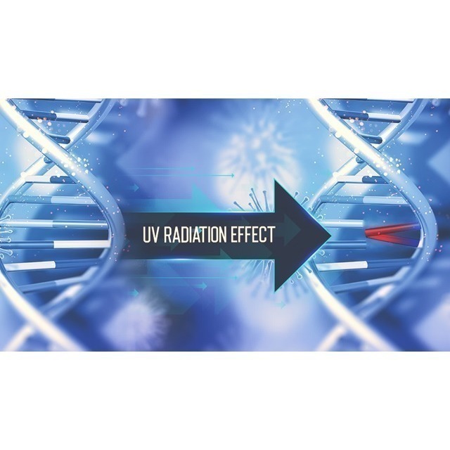 Z1紫外線消毒燈💡功能升級版｜歐規UVC253.7nm🌟智能偵測👁️99%抑菌✔️安全停機🚫-細節圖10