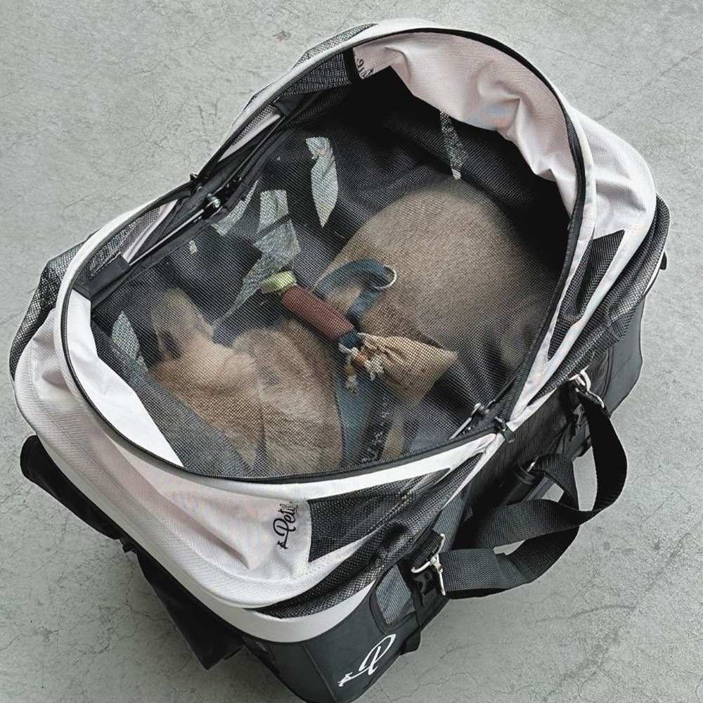 💥 超值下殺！【四合一多功能】高鐵小巴 🚄 分離式寵物推車（灰）  🐶🐱 超值特惠，搶購中！-細節圖3