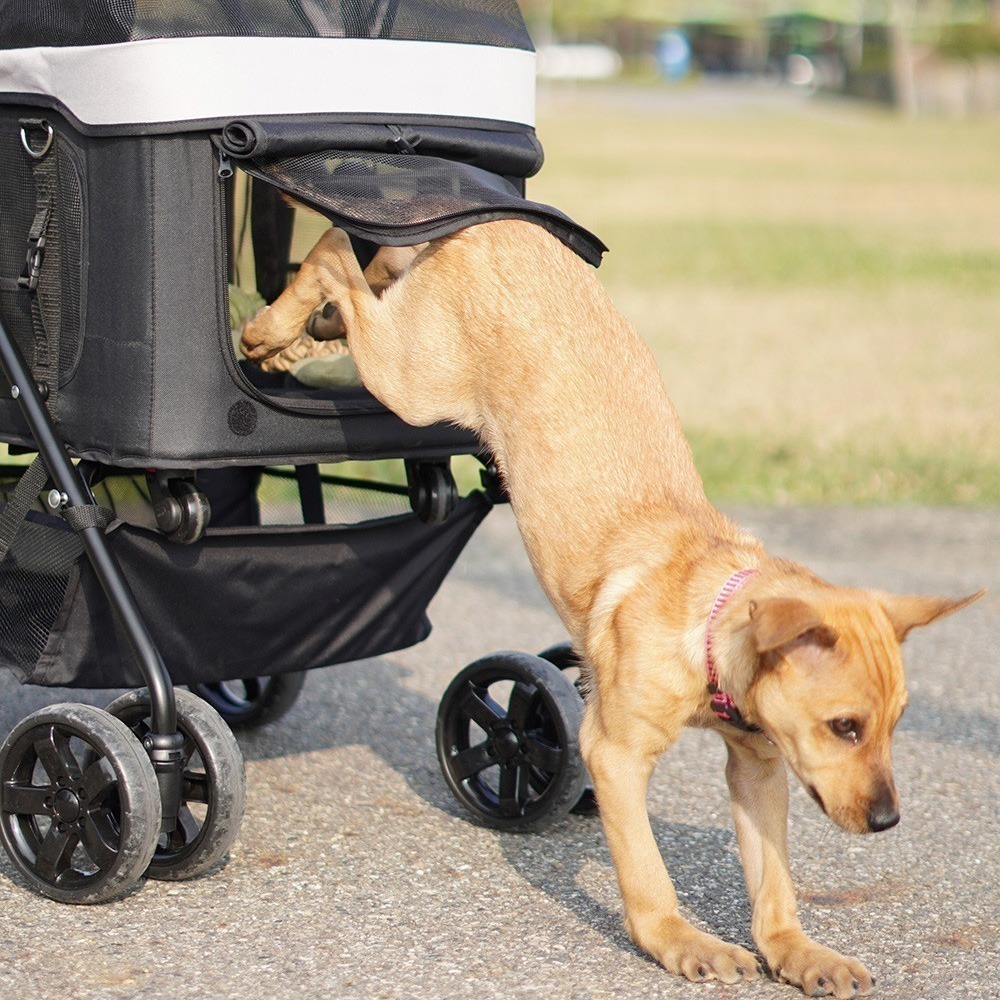 💥 超值下殺！【四合一多功能】高鐵小巴 🚄 分離式寵物推車（灰）  🐶🐱 超值特惠，搶購中！-細節圖9