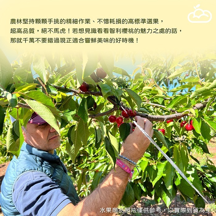 【下殺免運】智利頂級紅櫻桃禮盒-細節圖4