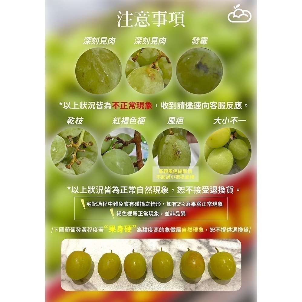 🌟滿千免運🌟🔍精挑盒裝📦 2J祕魯秋脆綠無籽葡萄🍇 350g ✅ 3盒 ✅8盒 任選組合-細節圖3