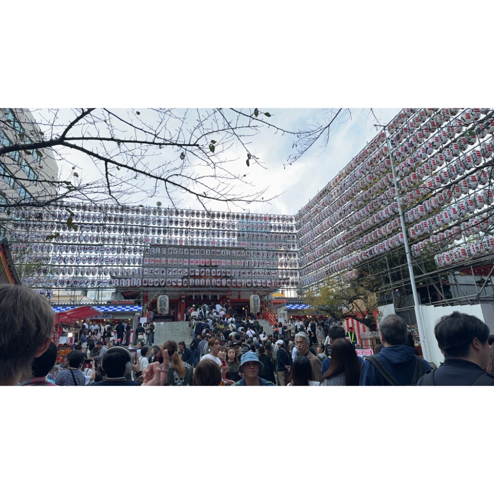 親飛日本🇯🇵 日本帶回 日本神社 祈福熊守 日本熊手 生意興隆 商業繁盛-細節圖3