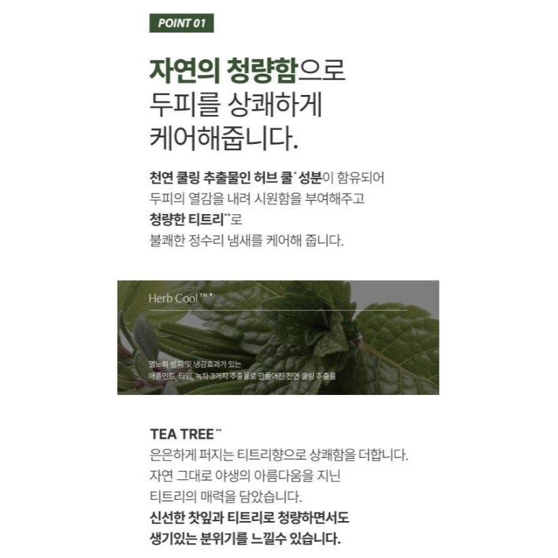 ❤️韓國🇰🇷代購－－－-韓國AVCA茶樹頭皮養髮噴霧(200ml)-細節圖6