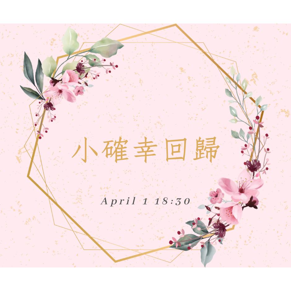 2025MA【小確幸飾品】鈦鋼項鍊 鈦鋼 醫療剛 抗過敏 不褪色 銀色 金色 幸運草 白鋯 碎鋯 日韓 流行 質感-細節圖2