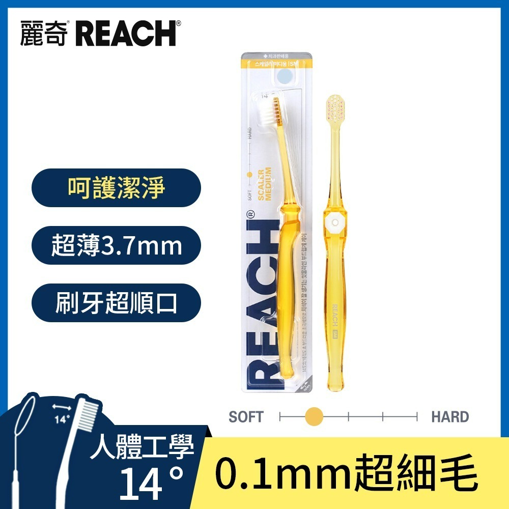 REACH麗奇 麗奇齒科專家14°牙刷1入 潔淨護理 抗敏護齦 植牙矯正 深層清潔 細軟毛-規格圖1
