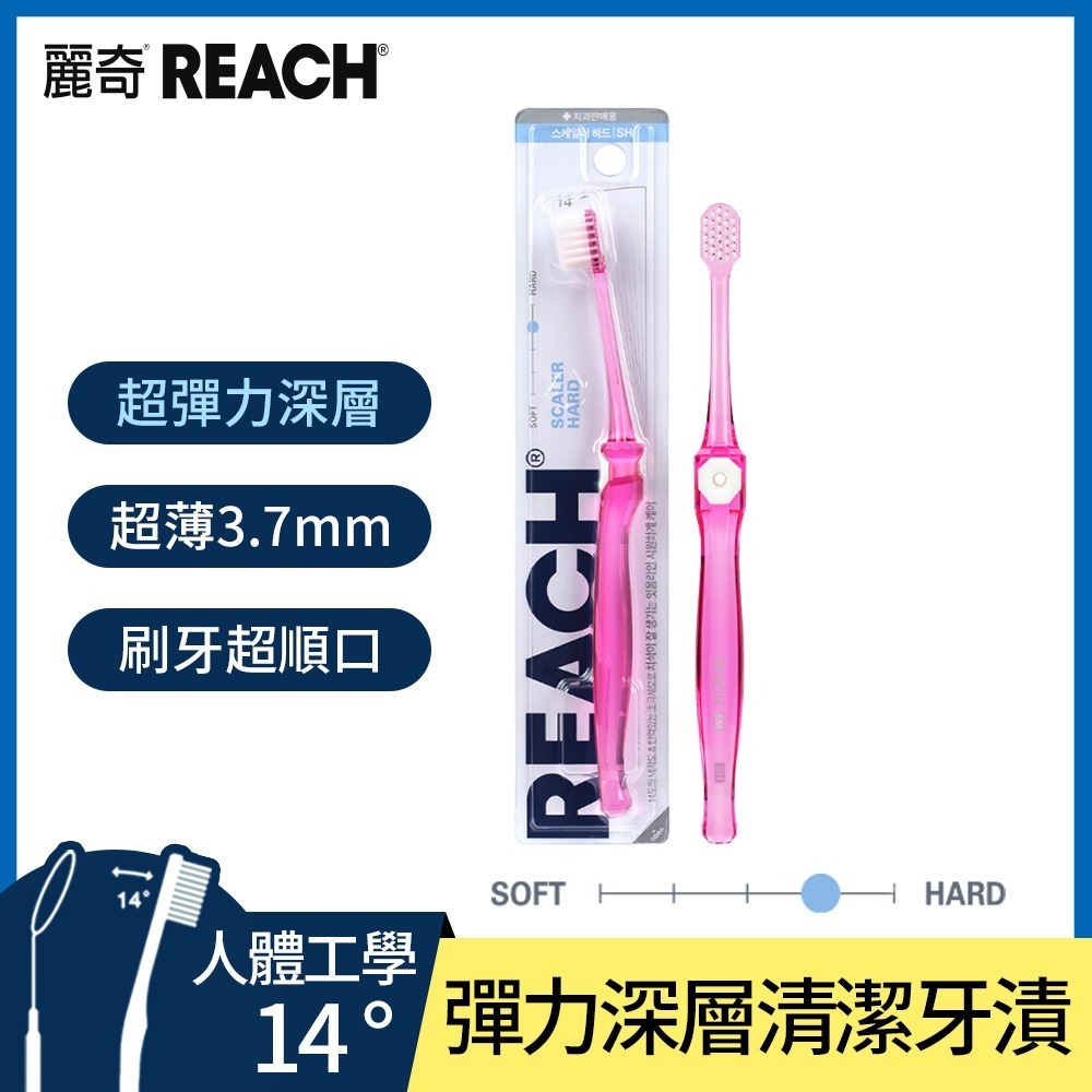 REACH麗奇 麗奇齒科專家14°牙刷1入 潔淨護理 抗敏護齦 植牙矯正 深層清潔 細軟毛-規格圖1