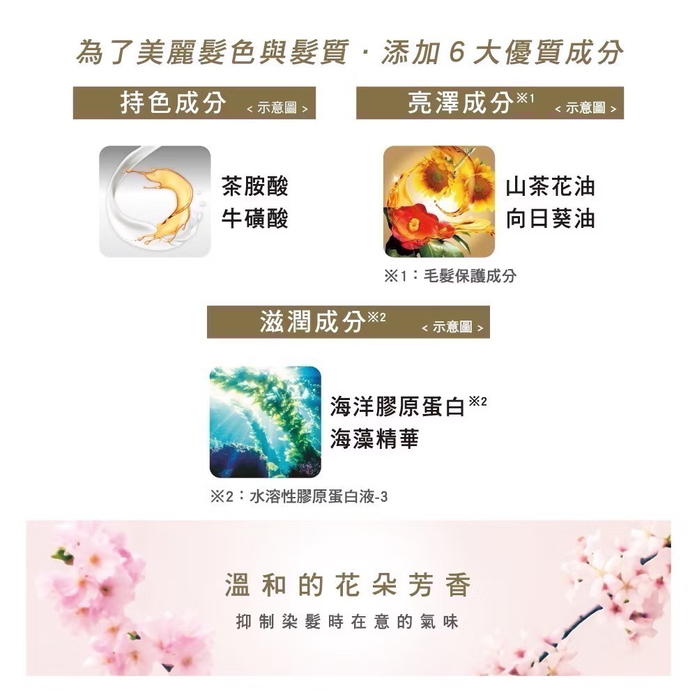 日本CIELO 宣若EX染髮霜 （白髮適用)染髮劑-細節圖3