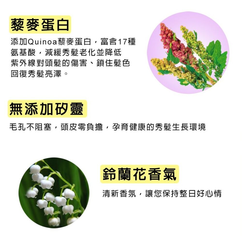 花香5 原效洗髮精 /潤絲精 1100ml：鈴蘭花香 櫻花香 茉莉花香 舒緩 (超取限4)-細節圖3