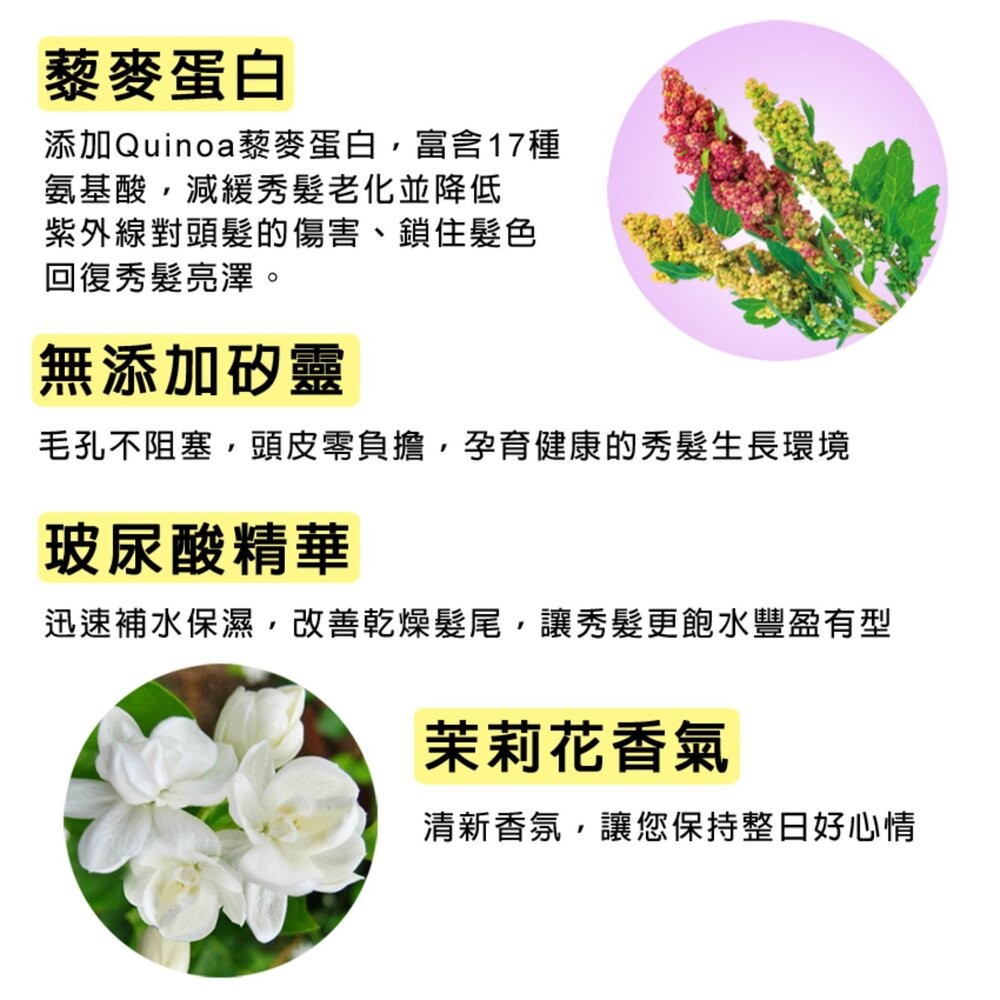 花香5 原效洗髮精 /潤絲精 1100ml：鈴蘭花香 櫻花香 茉莉花香 舒緩 (超取限4)-細節圖5