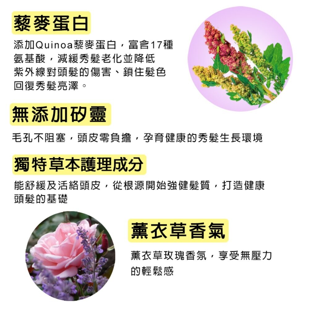 花香5 原效洗髮精 /潤絲精 1100ml：鈴蘭花香 櫻花香 茉莉花香 舒緩 (超取限4)-細節圖7