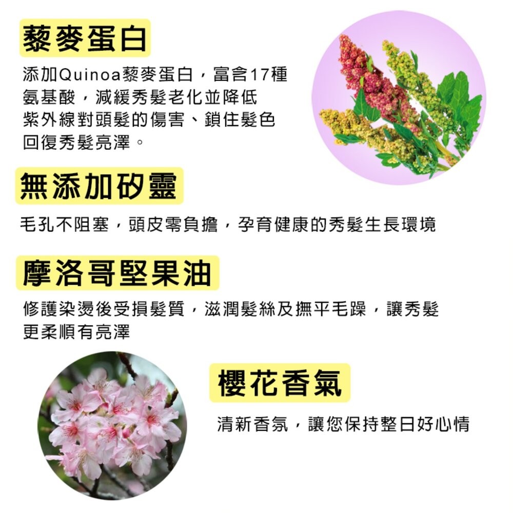 花香5 原效洗髮精 /潤絲精 1100ml：鈴蘭花香 櫻花香 茉莉花香 舒緩 (超取限4)-細節圖9