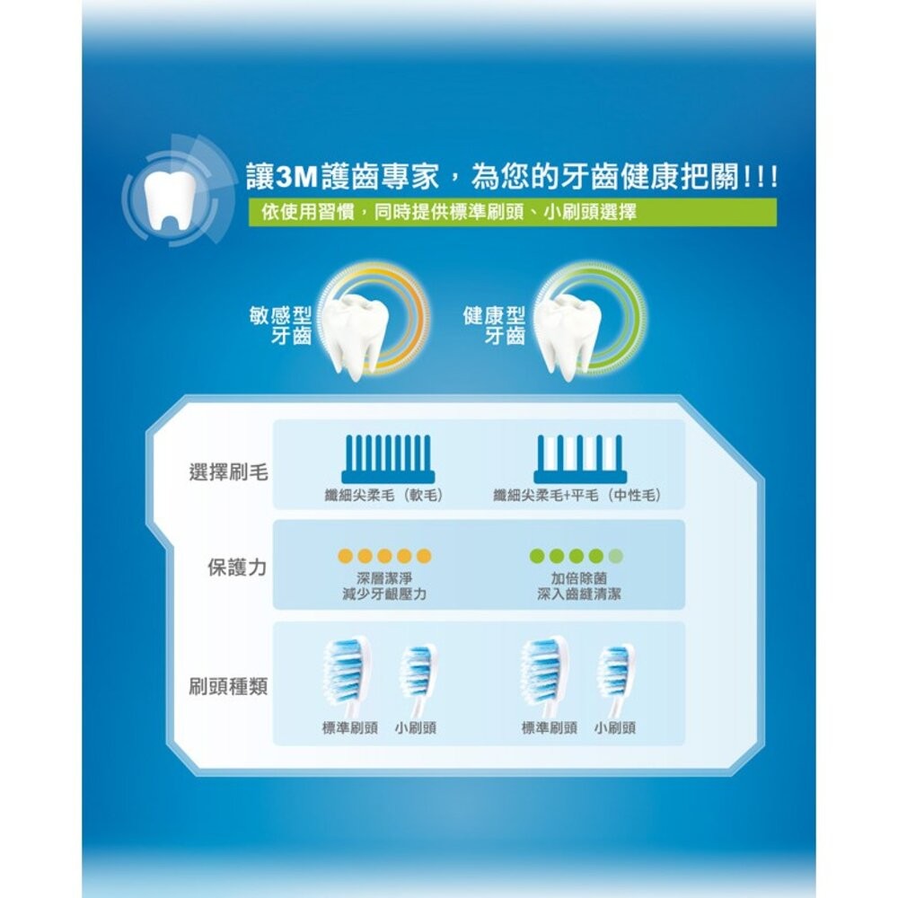 3M 8度角潔效抗菌牙刷3入(顏色隨機出貨)：小刷頭/標準-細節圖9