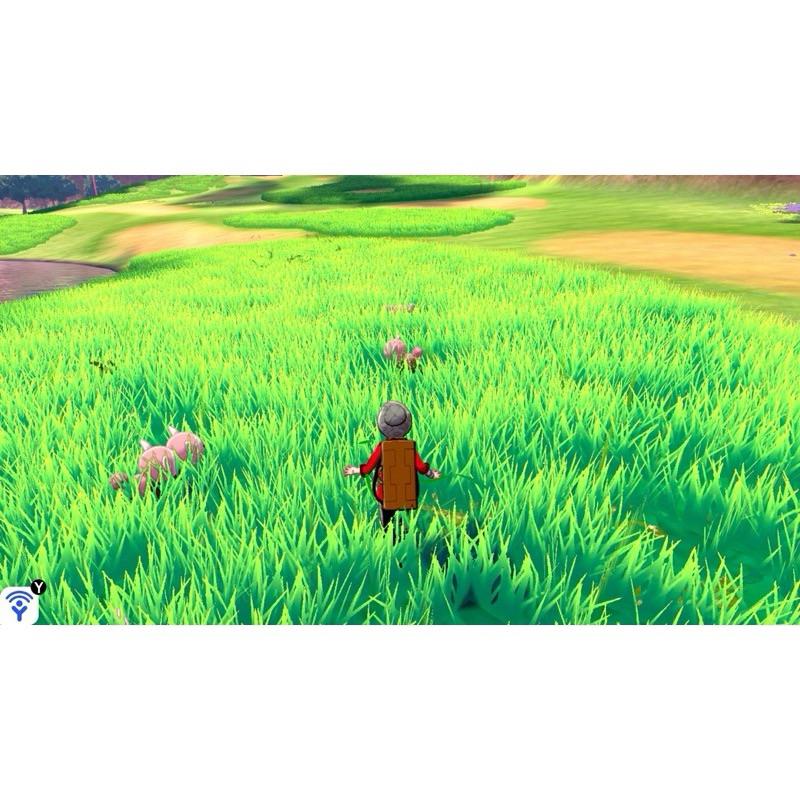 Switch 寶可夢 劍+擴充票 中文版 台版封面 劍擴充 DLC 非序號 神奇寶貝 冠之雪原 鎧之孤島 NS 任天堂-細節圖3