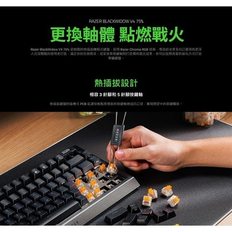 Razer 雷蛇 BlackWidow V4 75% 黑寡婦V4 黑色 白色 幻影綠 熱插拔機械鍵盤 橘軸 中文 英文-細節圖4