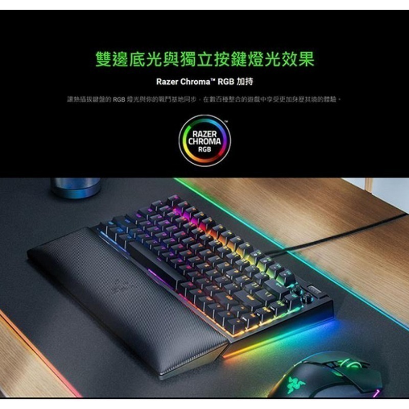 Razer 雷蛇 BlackWidow V4 75% 黑寡婦V4 黑色 白色 幻影綠 熱插拔機械鍵盤 橘軸 中文 英文-細節圖9