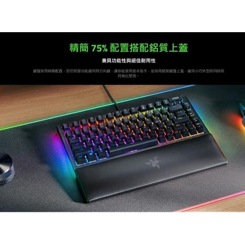 Razer 雷蛇 BlackWidow V4 75% 黑寡婦V4 黑色 白色 幻影綠 熱插拔機械鍵盤 橘軸 中文 英文-細節圖6