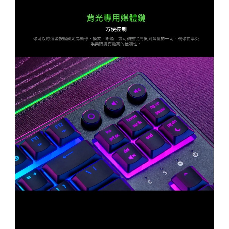 Razer 雷蛇 ORNATA V3  雨林狼蛛鍵盤 機械式按鍵軸 柔軟護腕墊 RGB 燈光 矮軸按鍵-細節圖7