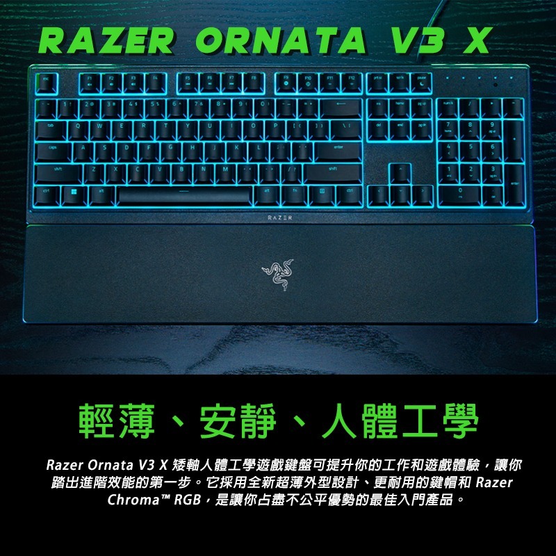 Razer 雷蛇 ORNATA V3 X 雨林狼蛛鍵盤 靜音薄膜按鍵軸 防潑水 人體工學護腕墊-細節圖3