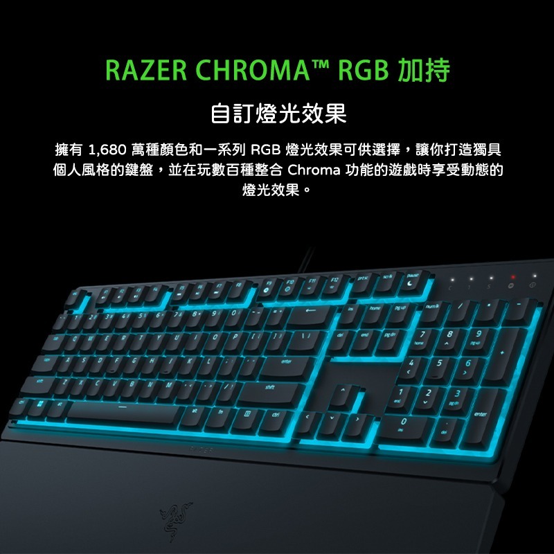 Razer 雷蛇 ORNATA V3 X 雨林狼蛛鍵盤 靜音薄膜按鍵軸 防潑水 人體工學護腕墊-細節圖9