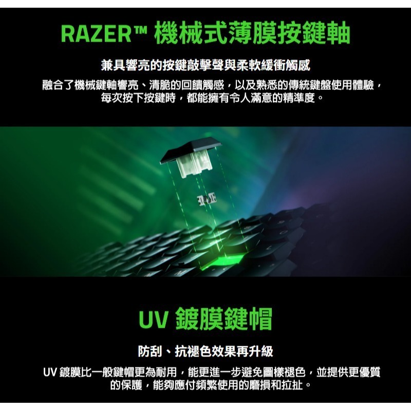 Razer 雷蛇 ORNATA V3 TKL 雨林狼蛛 酷洛米 電競鍵盤 UV矮軸按鍵 鍍膜鍵帽 機械鍵盤 雷蛇鍵盤-細節圖5